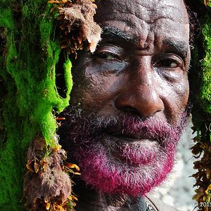 Bilder Lee Scratch Perry's Vision of Paradise