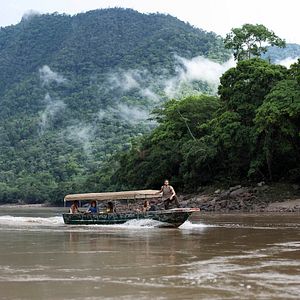 Bilder The Green Inferno