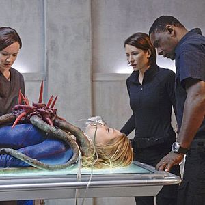 Bilder Melissa Benoist