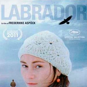 Bilder Out of Bounds