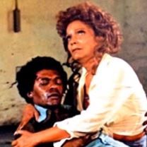 Bilder O Dia das Profissionais