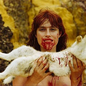 Bilder Animal Político