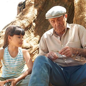 Bilder El Olivo - Der Olivenbaum