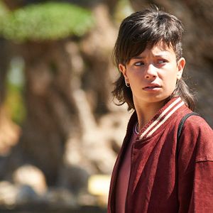 Bilder El Olivo - Der Olivenbaum