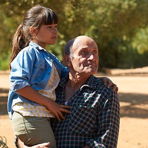 Bilder El Olivo - Der Olivenbaum