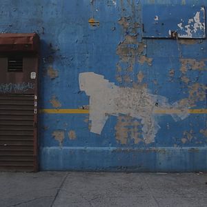 Bilder Banksy Does New York