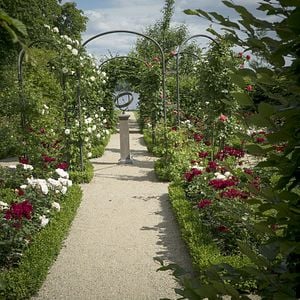 Das Malen des modernen Gartens bis Matisse Dokumentarfilm 2016