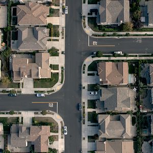 Bilder National Bird