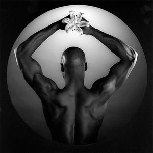 Bilder Mapplethorpe: Look At The Pictures