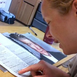 Bilder My Beautiful Broken Brain