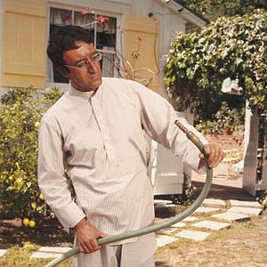 Bilder Peter Sellers