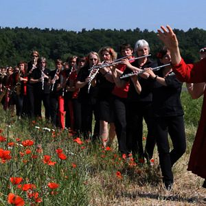 Bilder Kein Zickenfox