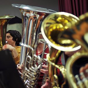 Bilder Kein Zickenfox