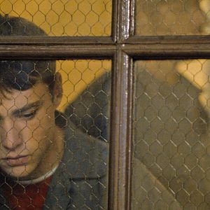 Bilder Stealing Cars