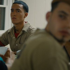 Bilder Stealing Cars