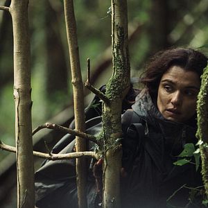 Bilder The Lobster - Eine unkonventionelle Liebesgeschichte