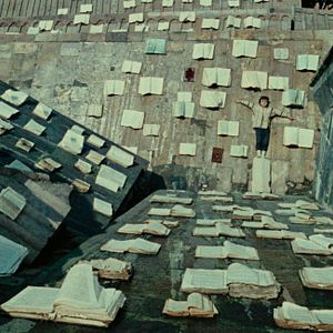 Bilder Die Farbe des Granatapfels