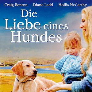 Bilder Die Liebe eines Hundes
