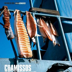 Bilder Chamissos Schatten: Kapitel 2 Teil 2 Tschukotka und die Wrangelinsel