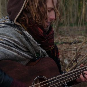 Bilder The Woods Dreams Are Made of