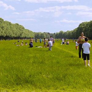 Bilder The Woods Dreams Are Made of