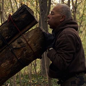 Bilder The Woods Dreams Are Made of