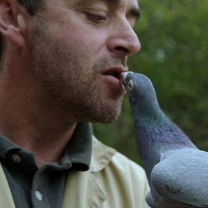 Bilder The Woods Dreams Are Made of