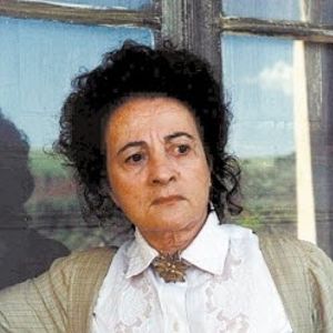 Bilder Araci Esteves