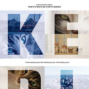 Bilder Kedi - Von Katzen und Menschen