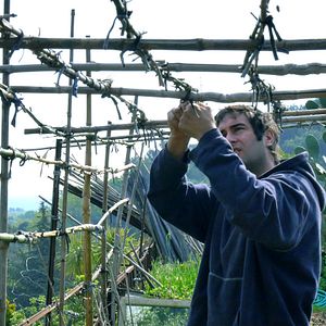 Bilder Le Potager de mon grand-père