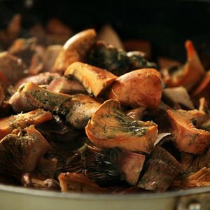 Bilder Le Potager de mon grand-père