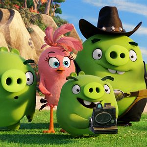 Bilder Angry Birds - Der Film