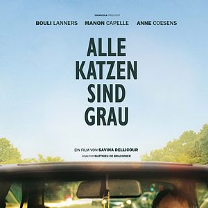 Bilder Alle Katzen sind grau