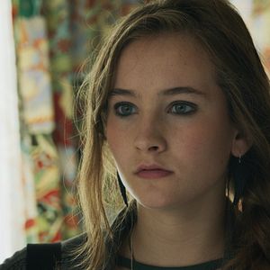 Bilder Alle Katzen sind grau