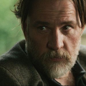 Bilder Alle Katzen sind grau