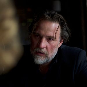 Bilder Alle Katzen sind grau