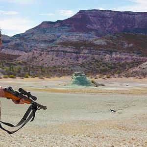 Bilder Desierto - Tödliche Hetzjagd