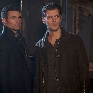 Bilder Daniel Gillies