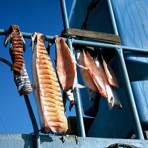 Bilder Chamissos Schatten: Kapitel 2 Teil 2 Tschukotka und die Wrangelinsel