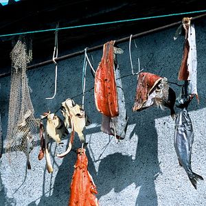 Bilder Chamissos Schatten: Kapitel 2 Teil 2 Tschukotka und die Wrangelinsel