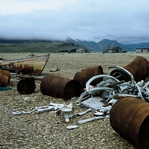 Bilder Chamissos Schatten: Kapitel 2 Teil 2 Tschukotka und die Wrangelinsel