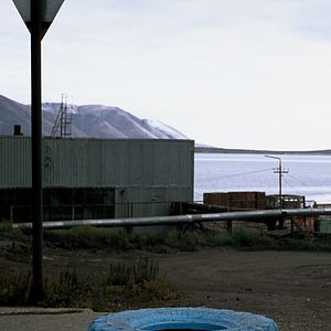 Bilder Chamissos Schatten: Kapitel 2 Teil 2 Tschukotka und die Wrangelinsel