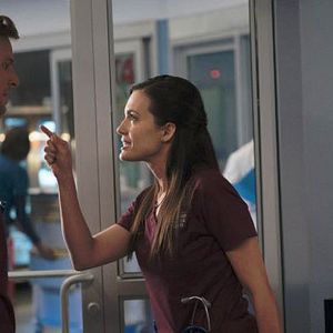 Bilder Torrey DeVitto