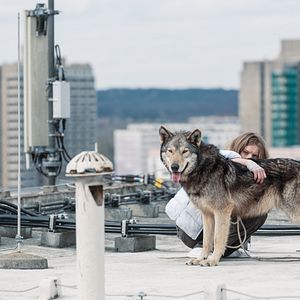 Bilder Lilith Stangenberg