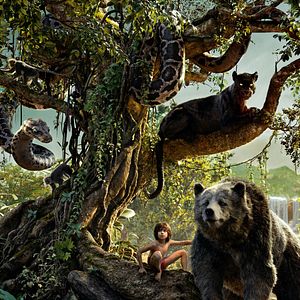 Bilder The Jungle Book