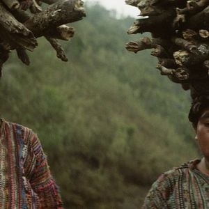 Bilder María Telón