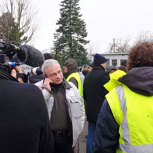 Bilder Comme des lions