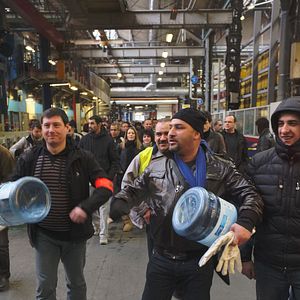 Bilder Comme des lions