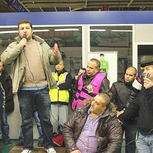 Bilder Comme des lions