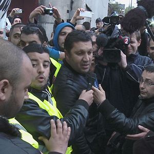 Bilder Comme des lions